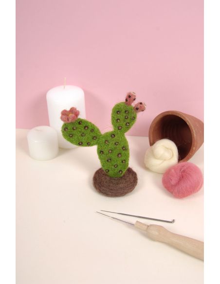 DMC viltcatalogus - Cactussen en vetplanten