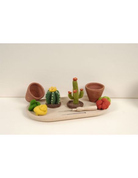 DMC viltcatalogus - Cactussen en vetplanten