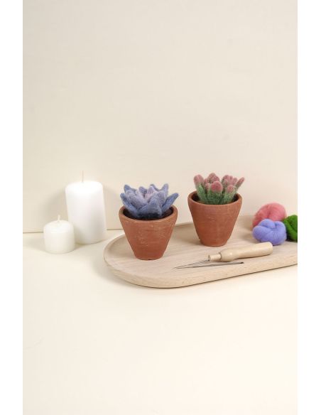 DMC viltcatalogus - Cactussen en vetplanten
