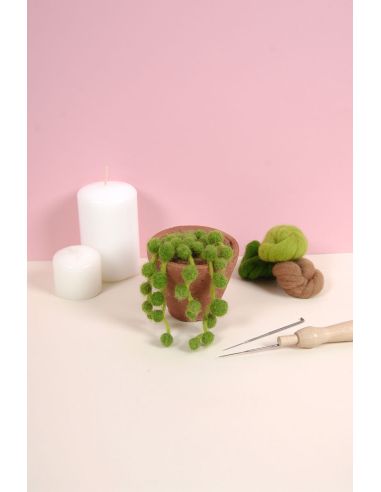 DMC viltcatalogus - Cactussen en vetplanten