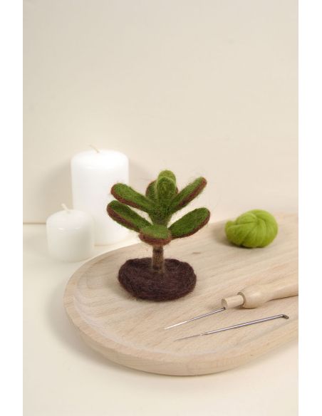 DMC viltcatalogus - Cactussen en vetplanten