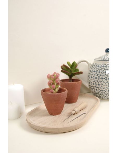 DMC viltcatalogus - Cactussen en vetplanten