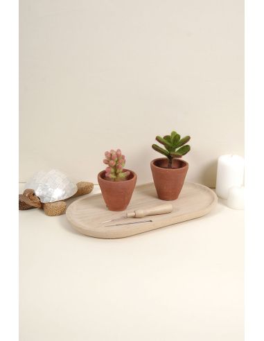 DMC viltcatalogus - Cactussen en vetplanten