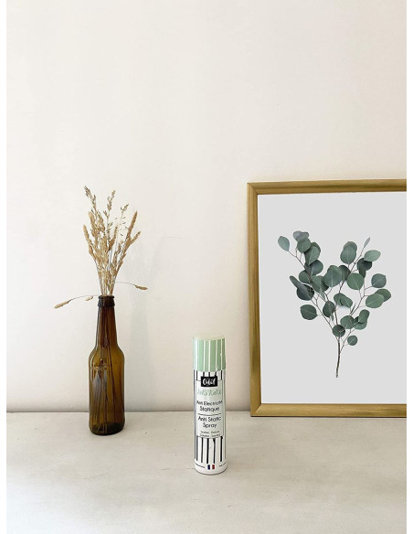 Antistatische spray AntiStatic