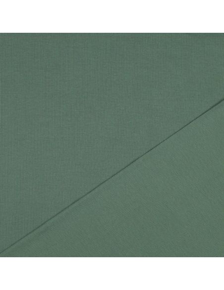 Fijn geribbelde katoenen jersey stof - Groen