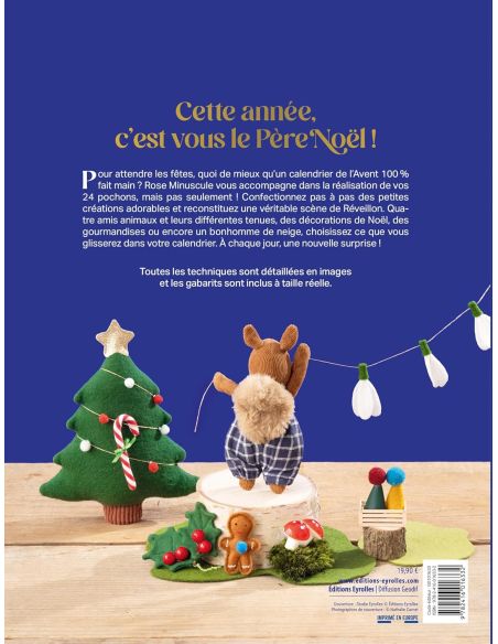 Boek de adventskalender van Rose Minuscule