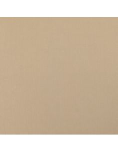 Scuba-stof met perzikhuid-effect - Beige 2