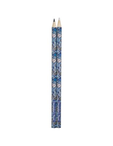 Zwart-wit krijtkrijt - Collectie blauwe bloemen