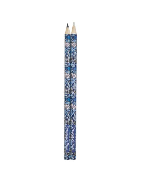 Zwart-wit krijtkrijt - Collectie blauwe bloemen