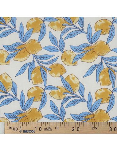 Indiase katoenen stof block print Citroenen - Blauwe bladeren