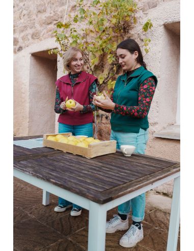 Mouwloos trui patroon - Fika - Lise Tailor