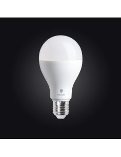 Daglicht LED-lamp - 19 watt met schroefdraad