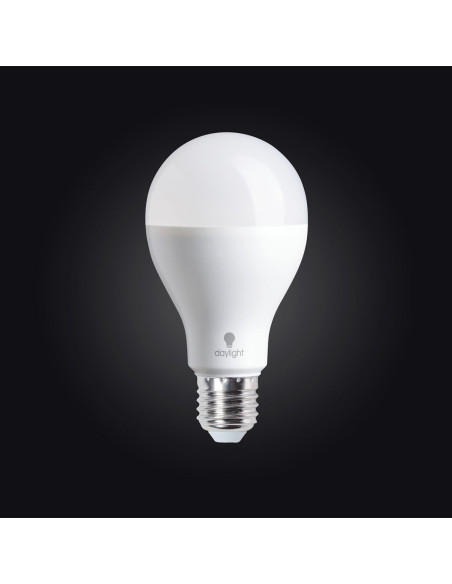Daglicht LED-lamp - 19 watt met schroefdraad