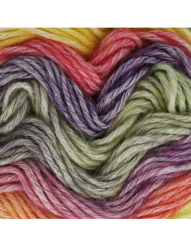 Scheepjes Stone Washed Flow Wol