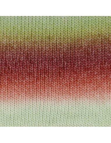 Laine Scheepjes Stone Washed Flow XL